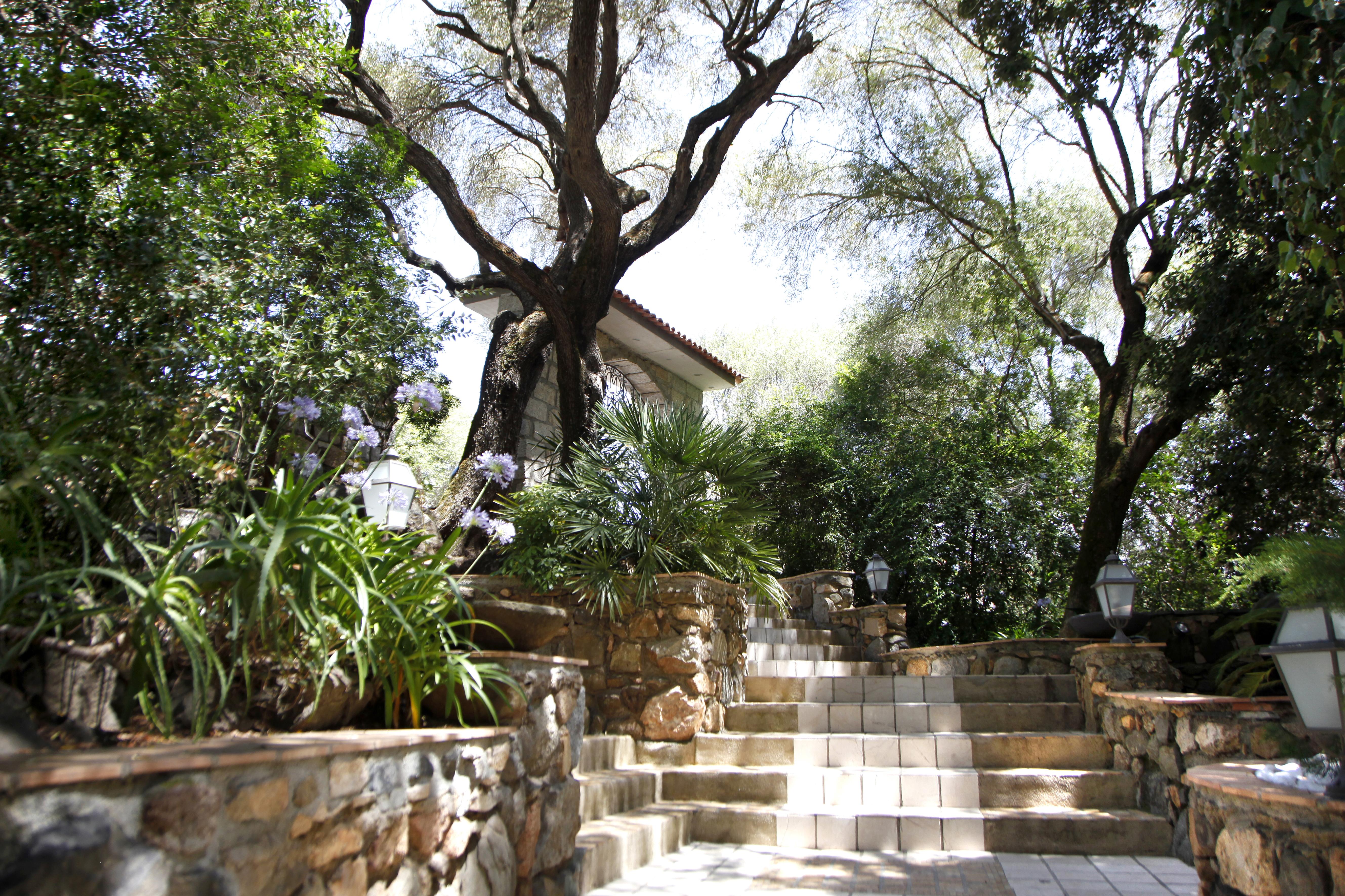 אולמטו Hotel Marinca & Spa מראה חיצוני תמונה